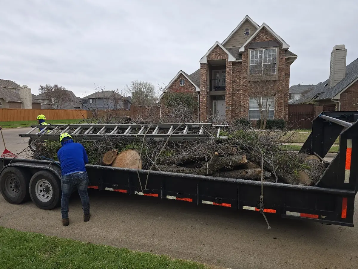 Expert Tree Removal with proper safety equipment in Lowell